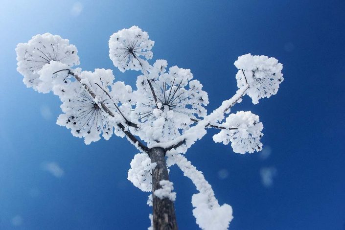 Zauberhaftes Wintermärchen