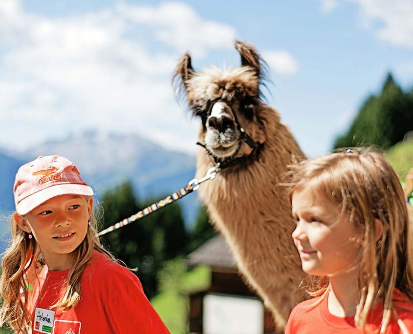 Lamatrekking Montafon