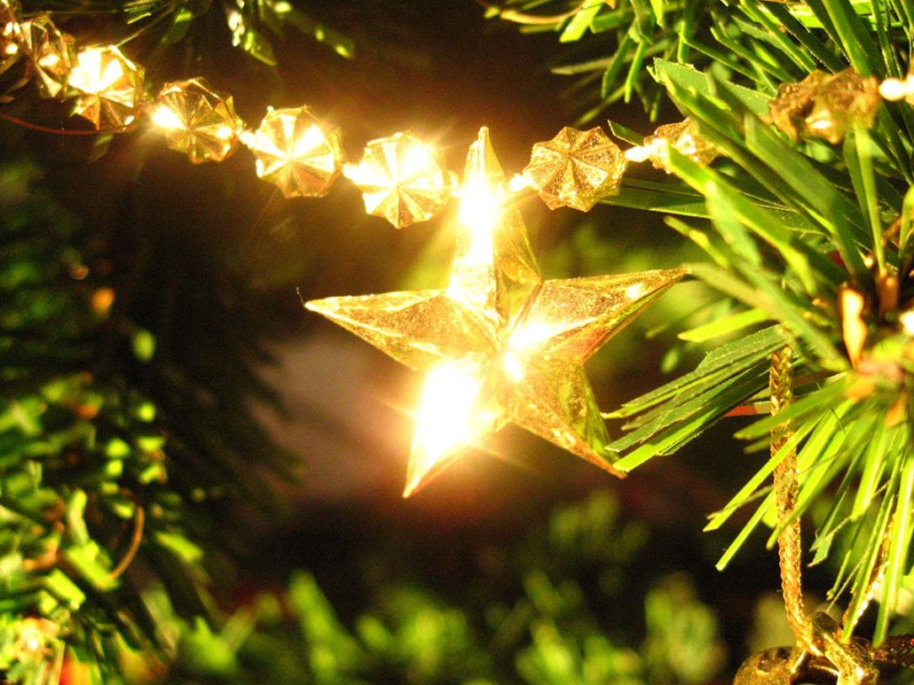 (Weihnachtsstern Рождественская звезда Weihnachtsstern