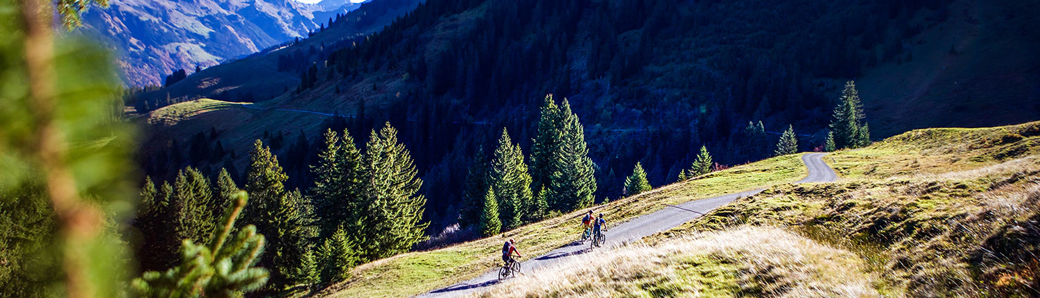 E-Mountainbike Tours Montafon