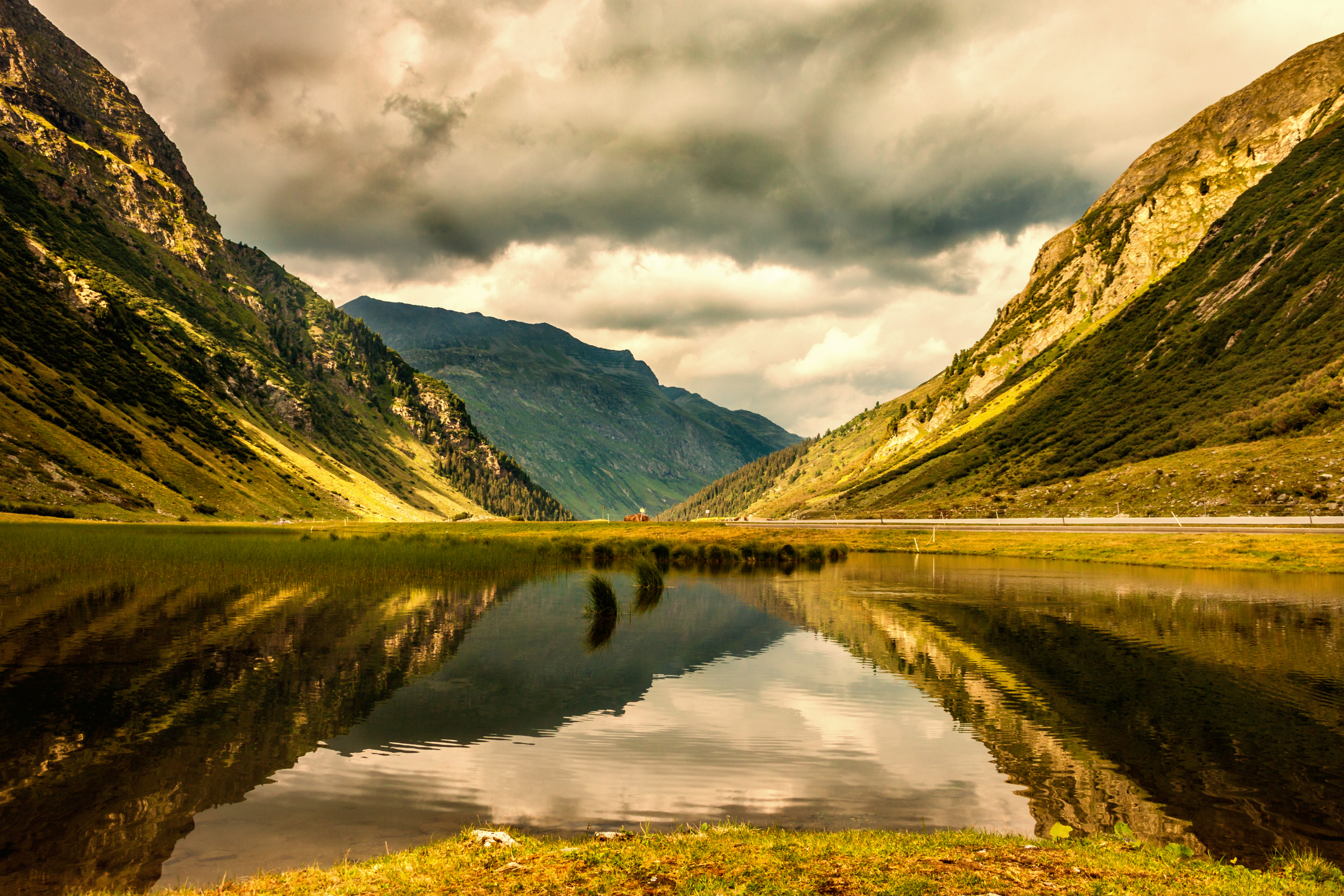 Montafon Adler