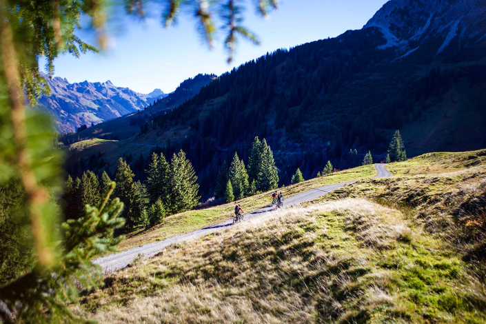 Mountainbiken Montafon