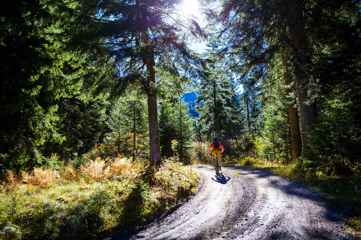 Mountainbike Wald Montafon